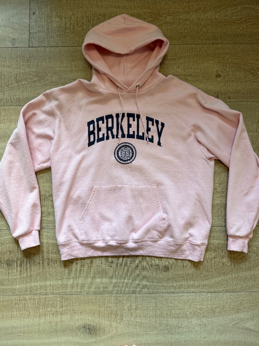 Champion UC Berkeley Hoodie Pastel Light Pink Navy Blue Spellout Men's XL Califo